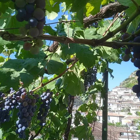 Penzion Baba Lluka Berat