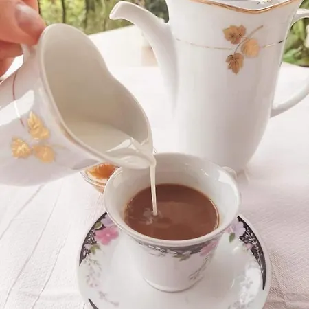 Baba Lluka בית הארחה בראט