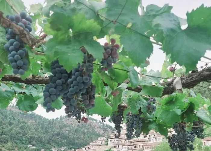 Penzion Baba Lluka 3*