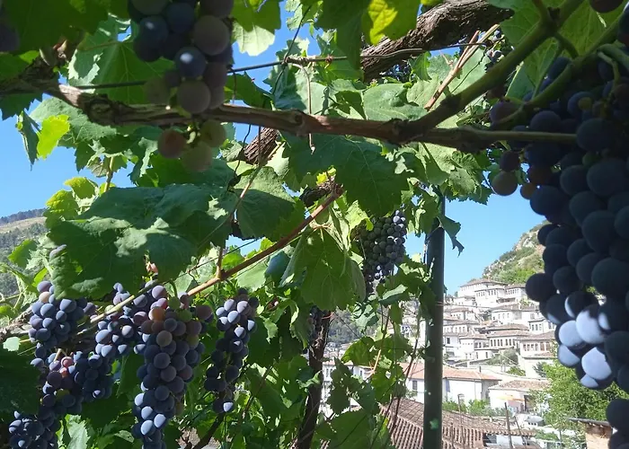Penzion Baba Lluka Berat