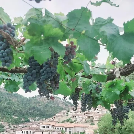 Penzion Baba Lluka 3*